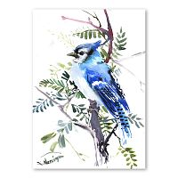 Autorský plagát Blue Jay od Surena Nersisyana, 42 x 30 cm