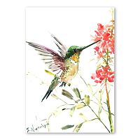 Autorský plagát Hummingbird od Surena Nersisyana, 30 x 21 cm