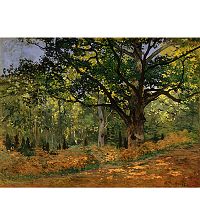 Obraz Claude Monet - The Bodmer Oak, Fontainebleau Forest, 70x50 cm