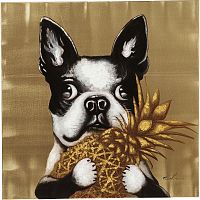 Obraz Kare Design Touched Dog with Pineapple, 80 x 80 cm
