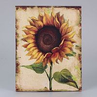 Obraz na plátne Dakls Sunflower