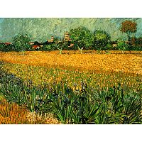 Obraz Vincenta van Gogha - View of arles with irises in the foreground, 40 × 30 cm