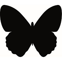 Set popisovacej tabule a kriedovej fixky Securit® Silhouette Butterfly, 36 x 30 cm