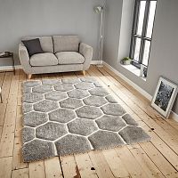 Sivý koberec Think Rugs Noble House, 120 x 170 cm