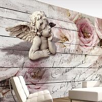 Veľkoformátová tapeta Artgeist Angel And Calm, 300 x 210 cm
