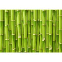 Vinylový koberec Bamboo, 52 x 75 cm