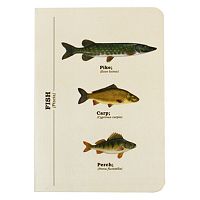 Zápisník Gift Republic Multi Fish, veľ. A6