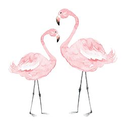 Nástenná samolepka Dekornik Flamingos, 55 x 55 cm