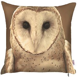 Obliečka na vankúš Apolena Owl, 43 x 43 cm
