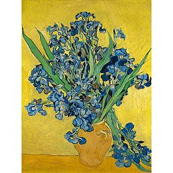Obraz Vincenta van Gogha - Irises, 60 × 45 cm