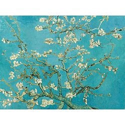Reprodukcia obrazu Vincenta van Gogha - Almond Blossom, 40x30 cm