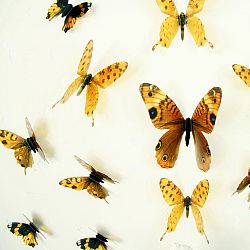 Sada 18 adhezívnych 3D samolepiek Ambiance Butterflies Yellow