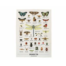 Utierka Gift Republic Insects
