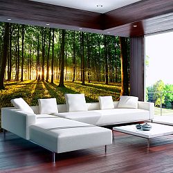 Veľkoformátová tapeta Bimago Morning, 400 × 280 cm